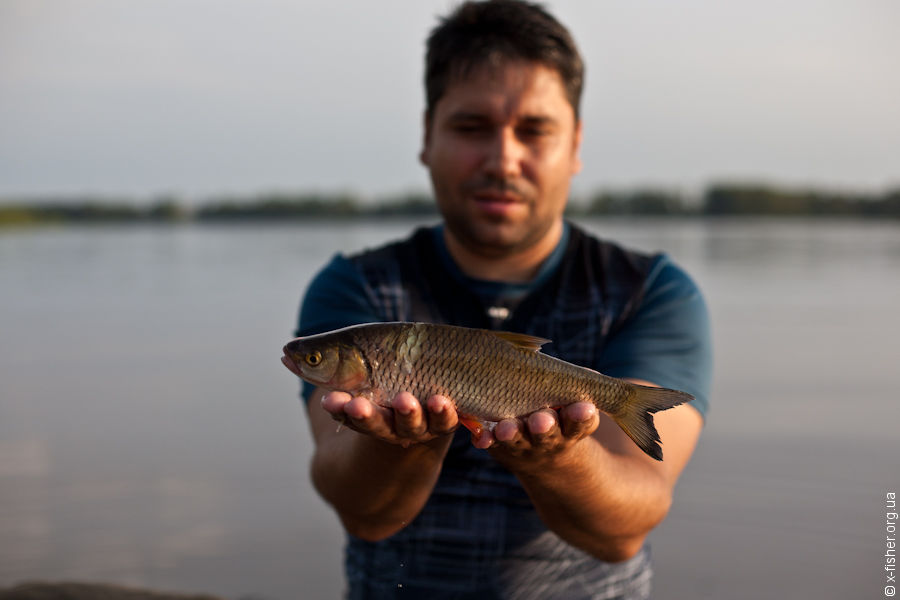 xfisher-9644.jpg