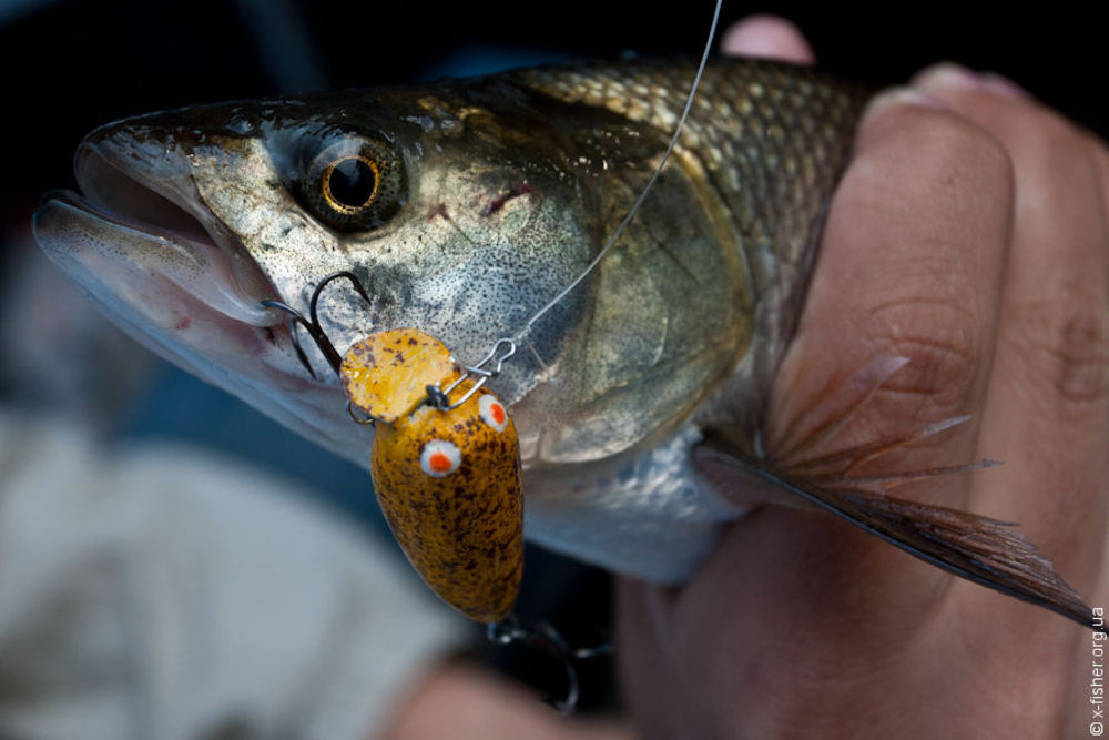 xfisher_9769_178.jpg