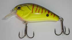 YELLOW_BLACK_BAC_4ac19c9a7bb96.jpg